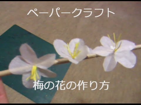 ペーパークラフト 梅の花の作り方 Youtube