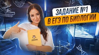 Задание №1 в ЕГЭ по биологии | Умскул