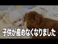 涙腺崩壊.手術で子供が産めなくなり寄り添ってくれるワンちゃんに涙...
