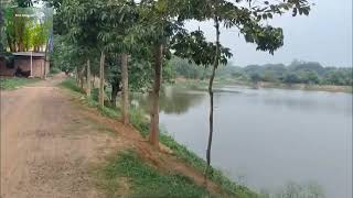 Dgp#green city #dgp 