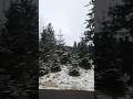 ❄️wintervibes 🇷🇴 #nature #snow #snowfall # travelshorts #travelvideo #europevibes