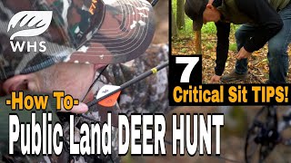 Top 7 Public Land Deer Hunting TIPS