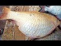 Big Gravid Fish Cutting and Fillet Video | Carp Fish Eggs Gravy Recipe by Grandma | Big Fish World