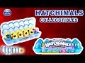Hatchimals Colleggtibles One Dozen - 12-Pack Egg Carton Season 3 | Spin Master