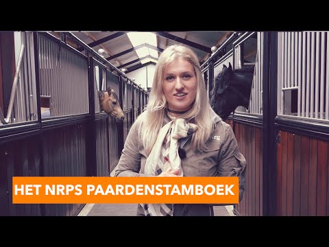 Alles over het paardenstamboek NRPS | PaardenpraatTV