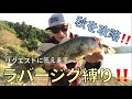 【バス釣り】ナイスバス！ラバージグを解説してみた！晩秋攻略！【ダイワのジグいいよね】
