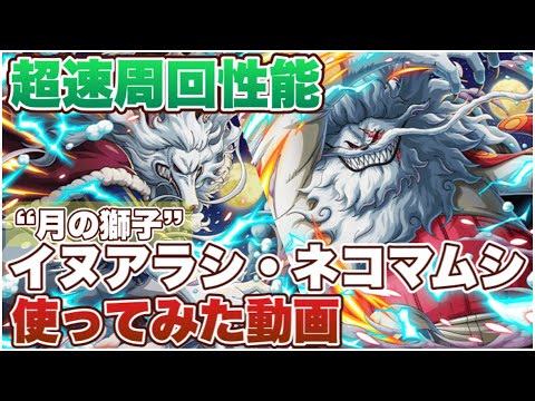 トレマ向きの周回性能 月の獅子イヌアラシとネコマムシを使ってみた トレクル Optc Youtube トレマ向きの周回性能 月の獅子イヌアラシとネコマムシを使ってみた トレクル Optc Youtube