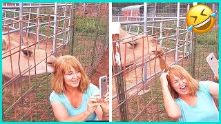 Funny Videos Compilation 🤣 Pranks - Amazing Stunts - By.Crazy Crispy #61 Profile