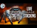YouTube Hangout and Live Image Stacking.