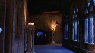 [pov] you're wandering in Hogwarts at midnight~a classical playlist #music#playlist#harrypotter screenshot 3