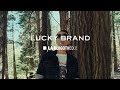 Andrew bird  manifest  fixed positions  play for the parks with lucky brand