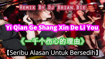 Yi Qian Ge Shang Xin De Li You《一千个伤心的理由》【Seribu Alasan Untuk Bersedih】Remix By dj Brian Bie