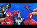 Venom e Spiderman alleati contro Carnage 🕷️ [Storie di Supereroi]