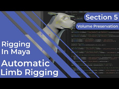 #RiggingInMaya | Part 25 | Advanced | Automatic Limb Rigging ~ Section 5