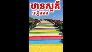 ស្អាតដូចឋានសួគ៌ សួនផ្កានៅខេត្តសៀមរាប ២០២៥ [[ គ្រូខ្មែរ-ថ្នាំខ្មែរ ]]