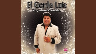 Video thumbnail of "El Gordo Luis - Como a Mi Vida"