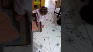 Eita Paulinha Matando Barata Kkkk