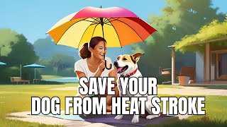 How To Protect Your Dog From Heat Strokes | #Heatstrokeindog