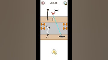 Thief Puzzle Level 204