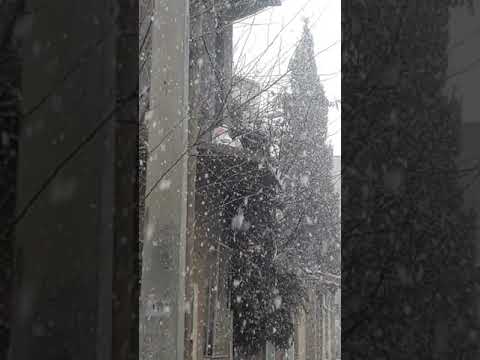 الله يبارك الثلج في ولاية سطيف