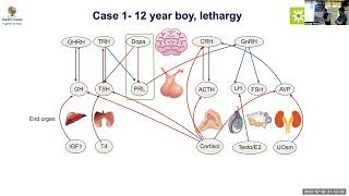 MedEClasses Pituitary Grand Round