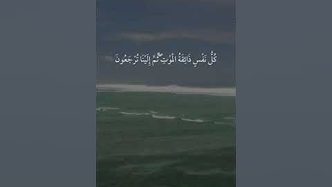 القارئ شريف مصطفى - سورة العنكبوت | مقاطع قرآن قصيرة وحالات واتس إسلامية 🌱