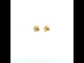 Video: 10Kt Gold Cz Earrings