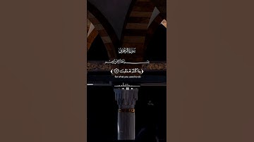 تلاوة خاشعة من سورة الزخرف #جزء٤ #قرآن_كريم ❤️✨🎧