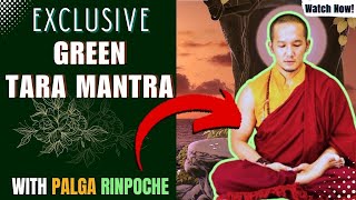 Green Tara Mantra chanting by Palga Rinpoche 108 Times