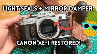 Canon AE-1 Restoration – Light Seal &amp; Mirror Damper Replacement + Exterior Cleaning