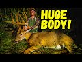 BIG VELVET BUCK inside 10 YARDS!  Spot and Stalk Deer Hunting