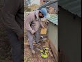 Building Yet Another 🐔 Door | Singing and Getting a kick out of it #homesteading
