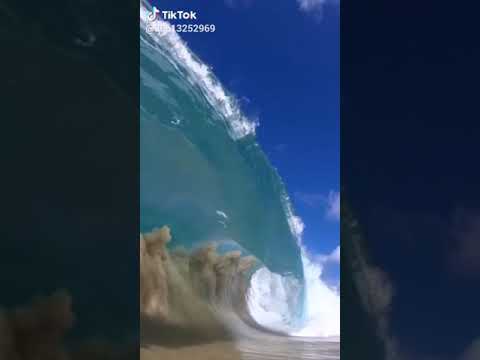 Tik Tok Tsunami