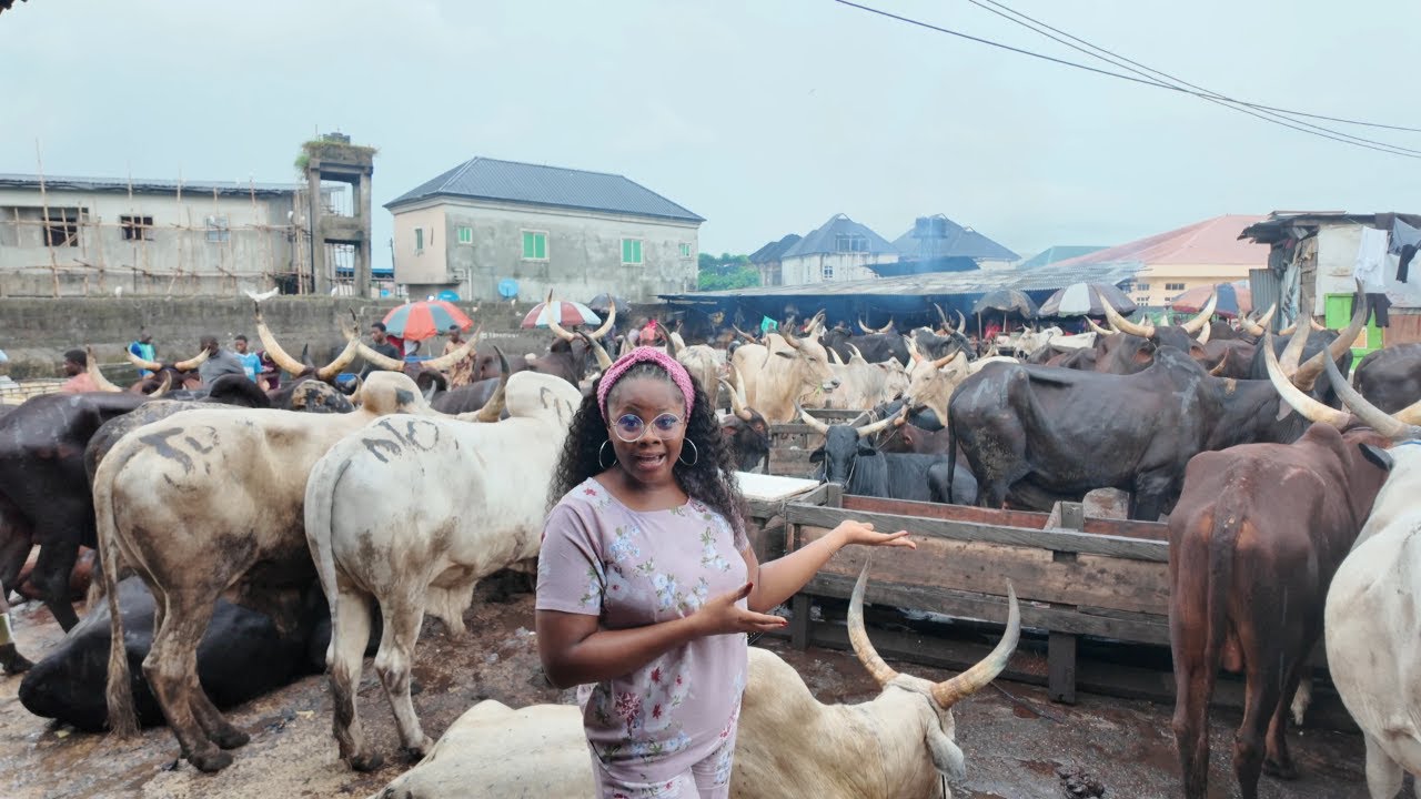 EXPOSING NIGERIA S BIGGEST MEAT MARKET IN THE SOUTH SLAUGHTER YouTube exposing-nigeria-s-biggest-meat-market-in-the-south-slaughter-youtube