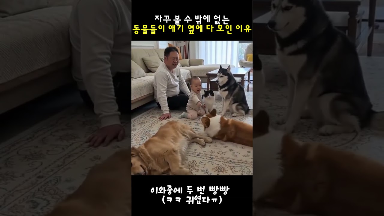 심장이 녹아버리는 영상 ㅠㅠ🫶🏻