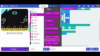 Celebrity MicroBit Balance Net Worth