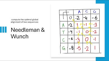 Needleman-Wunsch Algorithm: Global Sequence Alignment! (with Example)