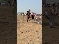 Well ghora well  neza bazi mela  ghora dance  heavens farms   tent pegging event
