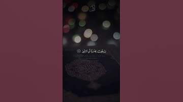 تلاوة من سورة فاطر | للقارئ عبدالله الموسى