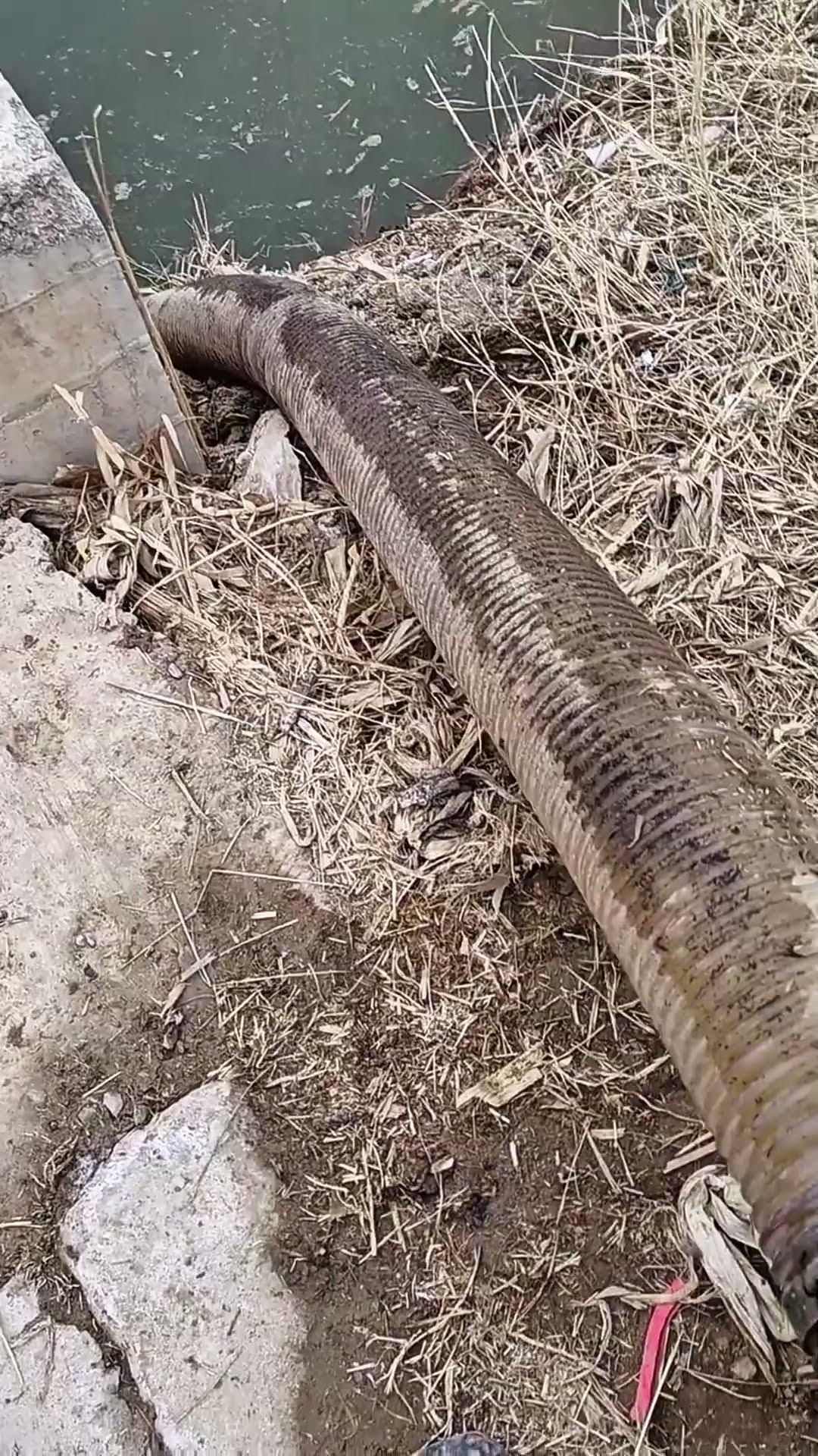 Centrifugal pump no irrigation process- Good tools and machinery make work easy