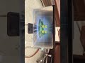 Video Image