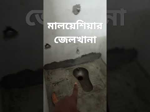 Malaysia Jelkhana Dekhte Kemon Hoy 