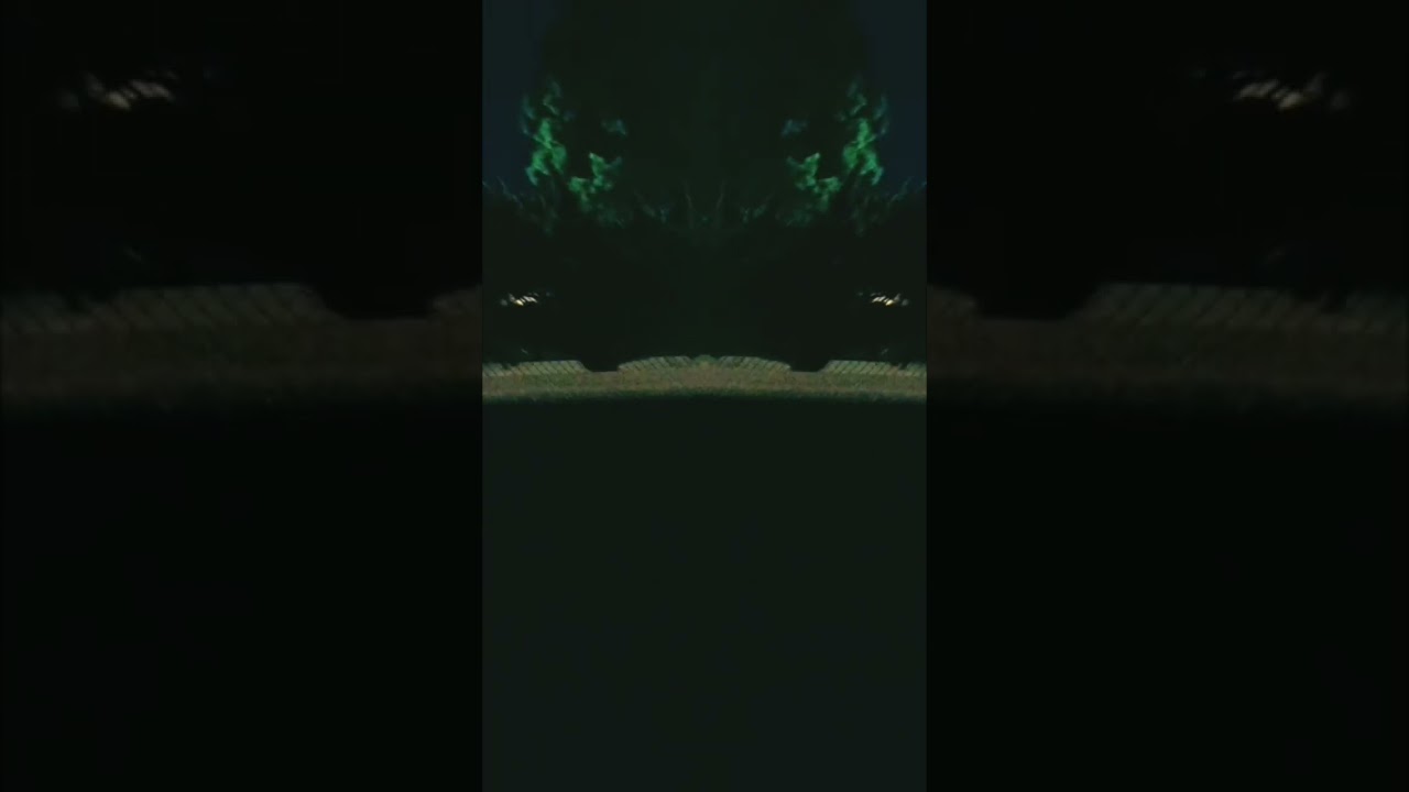 MOUTHBREATHER (VISUALISER)