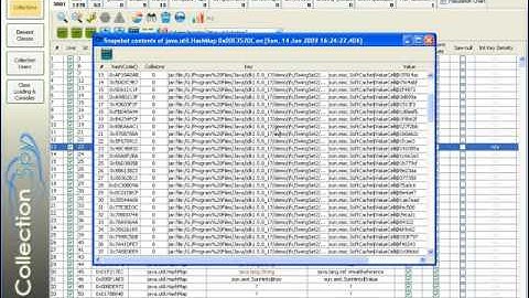 CollectionSpy Java Profiler: Introduction