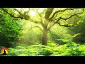 🔴 Relaxing Music 24/7, Sleep Music, Stress Relief Music, Spa, Meditation, Yoga, Zen, Sleeping Music