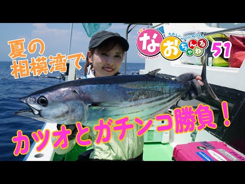 『グリーンかつお』　6点おまとめ グリーンかつお』 6点おまとめ グリーンかつお』 6点おまとめ