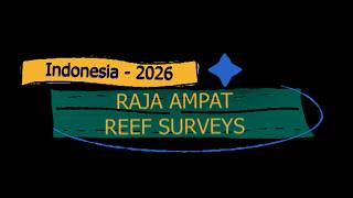 Surveys of Raja Ampat coral reefs - 2026