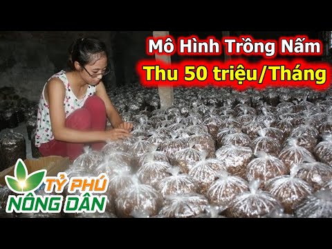 Video: Trồng Nấm Như Một Công Việc Kinh Doanh