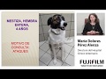 WEBINAR(3)- Casos clínicos del hipertiroidismo y hipotiroidismo _Maria Dolores Pérez Alenza|Fujifilm