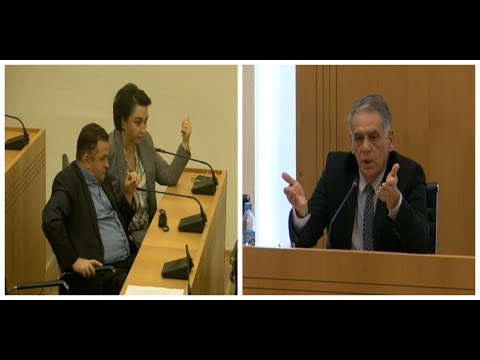 გაურკვევლობა დარგობრივი ეკნომიკის კომიტეტის სხდომაზე, სადაც კახა ბექაურის ინიციატივას განიხილავდნენ